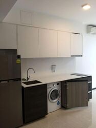 Sims Urban Oasis (D14), Condominium #588809641